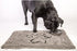 Dog Gone Smart Dirty Dog Doormat Cute Paw Print Ultra Water Absorbent Fast Drying Microfiber Small, Medium, Large and Runner Heavy Non-Skid/Slip Backing Machine Wash, Rain Snow Muddy Wet Shoes & Paws