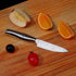 TooSharp Paring Knife for Cooking, Update Fit Non-stick Peel, Lightweight And Convenient, Easy To Control For Home Kitchen/ Restaurant/travel, Anti-rust And Healthy Handle, Good Helper For Cooking