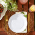 DII Melamine Reusable 9" Round Party or Picnic Plate, Set of 12, White