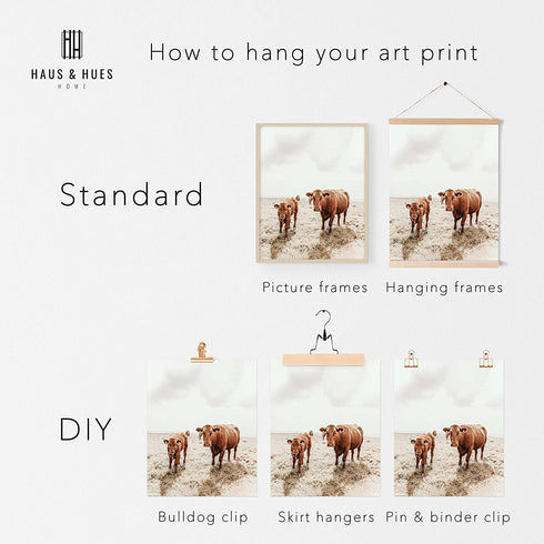 Highland Cow Art and Farmhouse Wall Decor - by Haus and Hues | Cow Wall Art and Farmhouse Pictures | Cow Decor | Cow Prints Wall Art | Cow Pictures Wall Decor, (11" x 14" UNFRAMED)