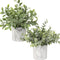 Hollyone Faux Plants Indoor Artificial Mini Potted Plants Plastic Green Plant Small Fake Plants Eucalyptus Decor in Pots for Home Table Room Bathroom Decor