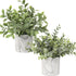 Hollyone Faux Plants Indoor Artificial Mini Potted Plants Plastic Green Plant Small Fake Plants Eucalyptus Decor in Pots for Home Table Room Bathroom Decor