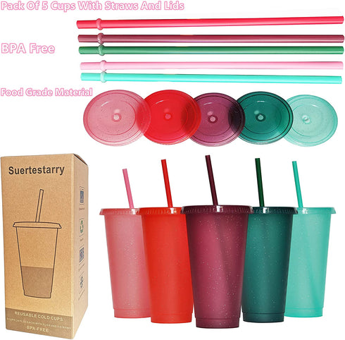 Tumbler with Straw and Lid,Water Bottle Iced Coffee Travel Mug Cup,Reusable Plastic Cups,Perfect for Parties,Birthdays,24oz-5 Pack