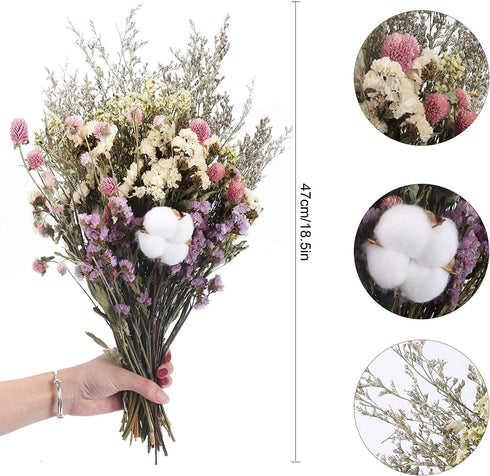 HUAESIN Natural Dried Flowers Bouquet Dried Cotton Stem Lover Grass Gypsophila Myosotis Sylvatica Farmhouse Artificial Flowers for Filler Floral Arrangement DIY Home Party Decor