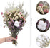 HUAESIN Natural Dried Flowers Bouquet Dried Cotton Stem Lover Grass Gypsophila Myosotis Sylvatica Farmhouse Artificial Flowers for Filler Floral Arrangement DIY Home Party Decor