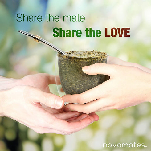 Novomates Double Wall Glass Yerba Mate Cup with Stanley Steel Bombilla Mate and Yerba Container - Yerba Mate Cup and Bombilla Set - Yerba Mate Gourd and Bombilla Mate plus Container - 8.4oz (250 ml)