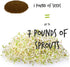 Certified Organic Alfalfa Sprouting / Sprout Seeds - Seed For Sprouts - 16 Oz