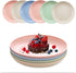 DeeCoo 7.8 Inch Wheat Straw Deep Dinner Plates - Microwave and Dishwasher Safe, Unbreakable Sturdy Plastic Dinner Plates - Set of 6 - Healthy Cereal Dishes/Kids-toddler & Adult