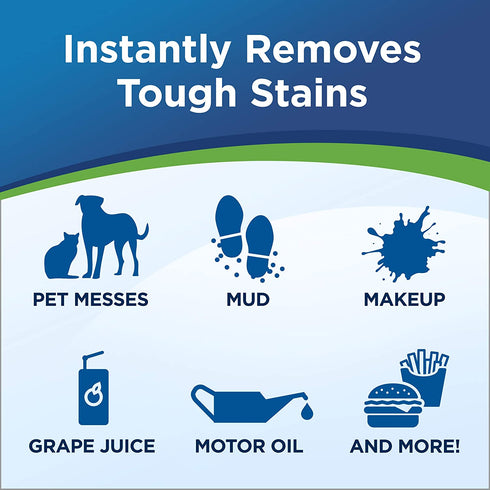 Woolite InstaClean Pet with Brush Head Cleaner, 1740, 18 fl. oz