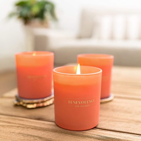 Hibiscus & Palmwood Scented Candles, Scented Candle | Highly Scented Candles for Home, 8 oz 45 Hour Burn | All Natural Soy Candles, Soy Candle, Aromatherapy Candle with Pink Glass Jar