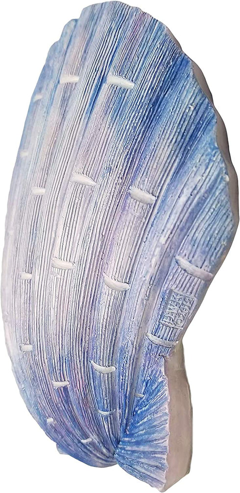 World of Wonders - Ocean Harmony Series - Captiva - Elegant Scallop Seashell Wall Sculpture Hand-Painted Easy Mount Beach House Shabby Chic Sea Life Marine Nautical Home Decor Accent, 8.5-inch