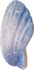 World of Wonders - Ocean Harmony Series - Captiva - Elegant Scallop Seashell Wall Sculpture Hand-Painted Easy Mount Beach House Shabby Chic Sea Life Marine Nautical Home Decor Accent, 8.5-inch