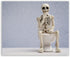 Skeleton Bathroom Prints - Funny Hipster Skull and Bones Wall Art Decor - Set of 4 (8 x 10) Photos