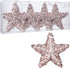 6" Five-Pointed Star Christmas Ornaments,4pc Set Cham/Rose Christmas Decorations Star for Xmas Trees Hanging Ornaments, Wedding Party Holiday Decorations (Cham/Rose)