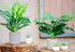 WUKOKU 2pcs Fake Plants 16" Faux Plants Artificial Potted Plants for Home Office Farmhouse Kitchen Bathroom Table Shelf Decor