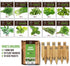 Herb Garden Seeds for Planting - 10 Culinary Herb Seed Packets Kit, Non GMO Heirloom Seeds, Plant Markers, Wood Gift Box - Home Gardening Gifts for Gardeners