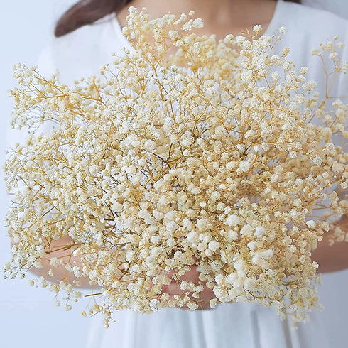 Dried-Flowers-Babys-Breath-Bouquet-17.2 inch 1500+ Ivory White Flowers, Natural Gypsophila Branches for Home Decor, Wedding, Table Vase Decor, Dried Flowers for Vase,Dry Flowers