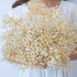 Dried-Flowers-Babys-Breath-Bouquet-17.2 inch 1500+ Ivory White Flowers, Natural Gypsophila Branches for Home Decor, Wedding, Table Vase Decor, Dried Flowers for Vase,Dry Flowers