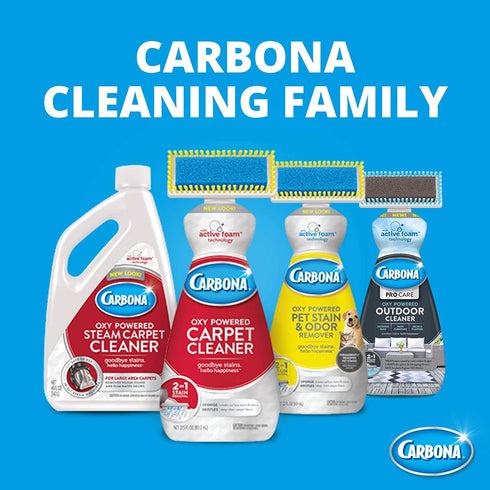 Carbona Pro Care Oxy Powered Outdoor Cleaner with Active Foam Technology | 22 Fl Oz, 2 Pack