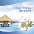 Febreze Air Freshener Bora Bora Waters (2 Count, 17.6 Oz)