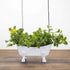 Foreside Home & Garden Black Distressed Rim White Enamel Bathtub Soap Dish