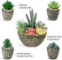 Succulents Plants Artificial Set of 5, Realistic Fake Succulents with Cement Like Pots for Home Office Decoration.