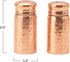 Creative Co-Op Hammered Stainless Steel, Copper Finish Salt & Pepper Shaker, 3.5"