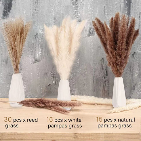 60 Pcs Dried Pampas Grass Decor - Pompass Grass Branches/ Dried Pompous Grass for Flower Arrangements Wedding Home Decor( 15 Pcs Brown Pampas Grass& 15 Pcs White Pampas Grass &30 Pcs Reed Grass)