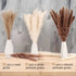 60 Pcs Dried Pampas Grass Decor - Pompass Grass Branches/ Dried Pompous Grass for Flower Arrangements Wedding Home Decor( 15 Pcs Brown Pampas Grass& 15 Pcs White Pampas Grass &30 Pcs Reed Grass)