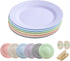 Wheat Straw Plates Set of 6, Unbreakable Plate Set with 2 Loofah Dish Sponges, Lightweight Great for Party / Picnic / Camping / BBQ / Pizza, BPA-Free, Microwave-Safe (6 Colors, 10 inches)