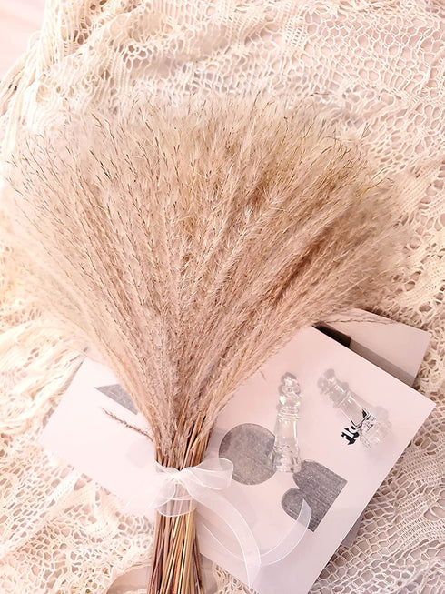 100 pcs Fluffy Pampas Grass Reeds Dried Flower, 17" Tall Not Sparse Natural Plant for Boho Wedding Bouquet Arrangement, Rustic Floral Home Decoration, Vase Filler for Living Room Decor for All Seasons
