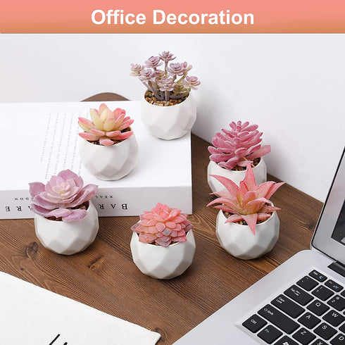 Remittur Set of 6 Artificial Succulents in Ceramic Pots, Pink Fake Succulent Plants for Bedroom Decor, Small Succulents Plants Artificial Fake Plant Decor, Mini Desk Plant for Home Decor (Pink)