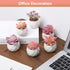 Remittur Set of 6 Artificial Succulents in Ceramic Pots, Pink Fake Succulent Plants for Bedroom Decor, Small Succulents Plants Artificial Fake Plant Decor, Mini Desk Plant for Home Decor (Pink)