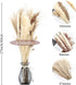 HYGQAXKO 65Pcs Natural Dried Pampas Grass Large, White Fluffy Pampas Grass, Pompass Grass Plant Decor Tall, Pampas Grass Bouquet Decor, Artificial Pompous Grass for Home, Wedding and Party Decor