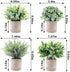 CEWOR 4 Packs Artificial Mini Potted Plants Fake Grey Greenery Eucalyptus Rosemary Boxwood Plastic Centerpiece for Bathroom Shelf Home Office Desk Table Indoor Decor