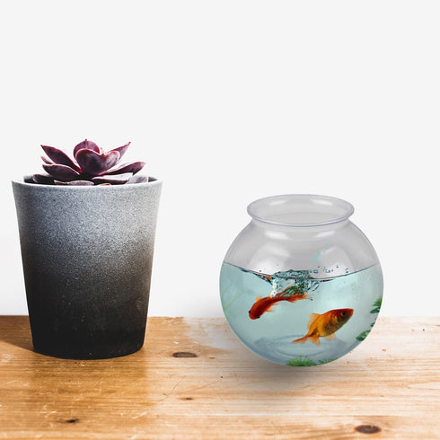 16 Oz Plastic Fish Bowl (6 Pack) 4 Inch Heavy Duty Plastic Ivy Bowls, for Candy, Carnival Games, Prizes, Centerpieces and Party Decoration Supplies, BPA-Free