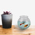 16 Oz Plastic Fish Bowl (6 Pack) 4 Inch Heavy Duty Plastic Ivy Bowls, for Candy, Carnival Games, Prizes, Centerpieces and Party Decoration Supplies, BPA-Free
