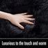 LOCHAS Ultra Soft Fluffy Rugs Faux Fur Sheepskin Area Rug for Bedroom Bedside Living Room Carpet Nursery Washable Floor Mat, 2x3 Feet Black