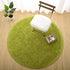Chicrug Fluffy Round Area Rugs for Girls Bedroom, 4x4 Feet Shaggy Circle Area Rug for Living Room, Soft Fuzzy Carpets for Princess Room, Cute Rug Kids Circular Playmats for Baby Nursery Home, Green