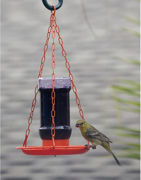 Perky-Pet 253 Oriole Jelly Wild Bird Feeder , Red