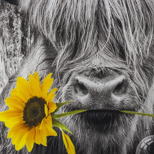 LB Funny Highland Cow Shower Curtain, Modern Farmhouse Highland Cow with Sunflower Shower Curtains, Grey Rustic Wood Barn Door Western Wildlife Animal Bathroom Curtains Set with Hooks, 60X72 Inches