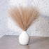 JOMAKIE Pampas Grass,Faux Pampas Grass18'',6 Pcs Pompass Grass Branches Small,Fluffy Pampas Grass Decor for Vase Fillers, Home,Office,Wedding and Events Decor (Light Curry)