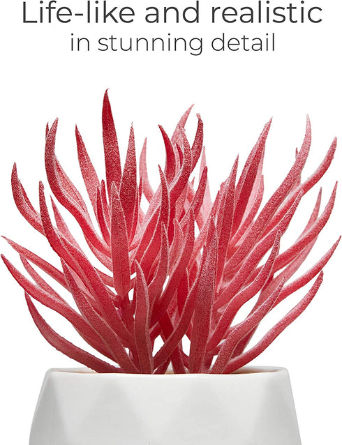Nordik Set of 4 Desk Plants - Office Decor for Women Desk, Indoor, Living Room, Bedroom, Home and Desk Decor Pink Faux Succulents in White Geometric Ceramic Planters