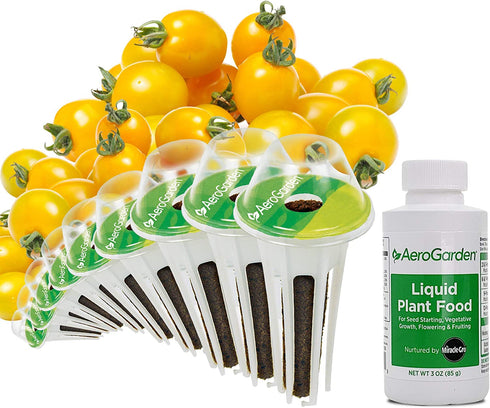 AeroGarden Golden Harvest Cherry Tomato, 9-pod