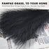 Pampas-Grass with Extension Stem, Artificial-Pampass-Grass 17" to 21.5" Faux-Pampas-Grass-Decor Tall 6Pcs, Pampas Grass for Flower-Arrangement, Black Pompous Grass