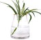 VanEnjoy 7 inch Clear Simple Glass Flower Vase, Decorative Gilded Rim Vase Home Decor for Indoor Centerpiece