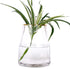VanEnjoy 7 inch Clear Simple Glass Flower Vase, Decorative Gilded Rim Vase Home Decor for Indoor Centerpiece