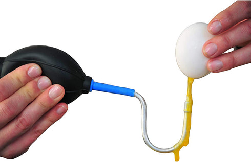 One Hole Egg Blower