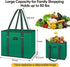 BALEINE 2 Pack Reusable Grocery Bags Shopping Bag with Reinforced Bottom and Handles (Green)