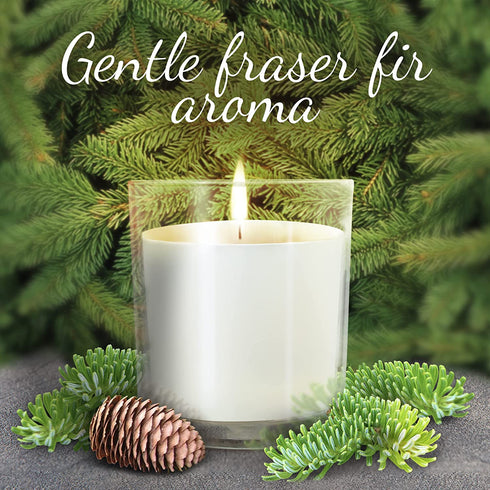 Fraser Fir Candles Winter Candle - 8 oz Holiday Candle Gifts Holiday Candles - Winter Candles Scented - Soy Candles for Home - Sweet Pine Candle - Scented Candle Gift New Year Candles for Women